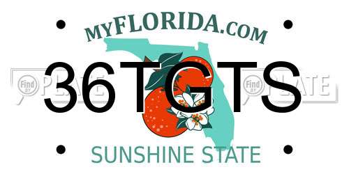 36TGTS Florida License Plate