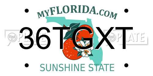 36TGXT Florida License Plate