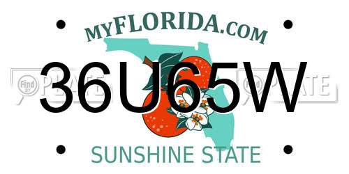 36U65W Florida License Plate