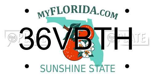36VBTH Florida License Plate