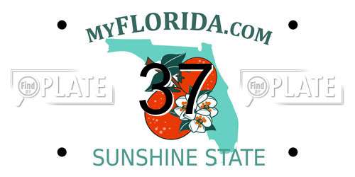 37 Florida License Plate