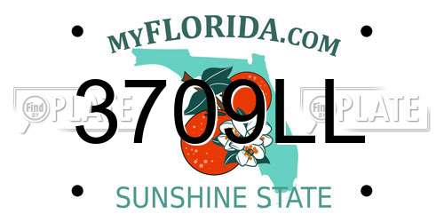 3709LL Florida License Plate
