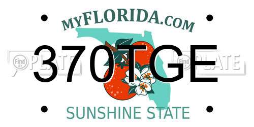 370TGE Florida License Plate
