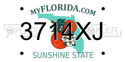 3714XJ Florida License Plate