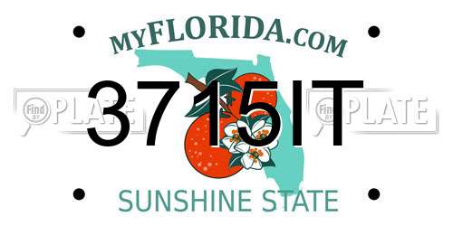 3715IT Florida License Plate