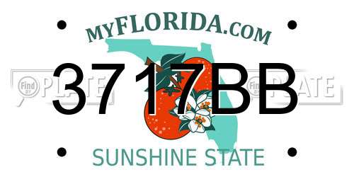 3717BB Florida License Plate