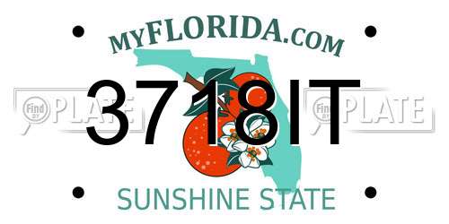 3718IT Florida License Plate