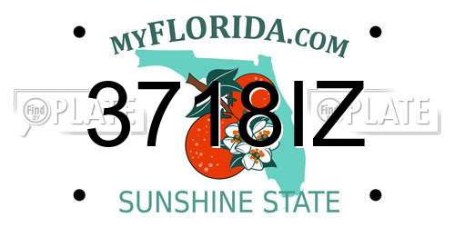 3718IZ Florida License Plate