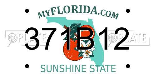 371B12 Florida License Plate