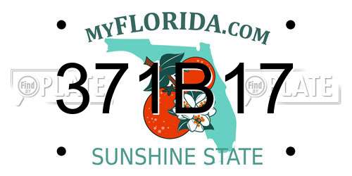 371B17 Florida License Plate