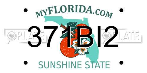 371BI2 Florida License Plate