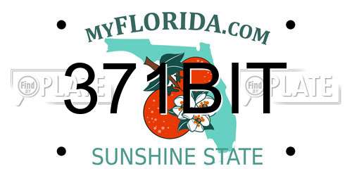 371BIT Florida License Plate