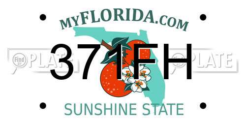 371FH Florida License Plate