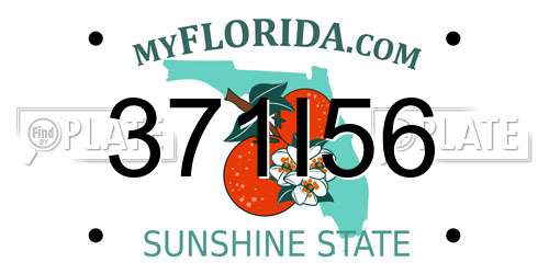 371I56 Florida License Plate