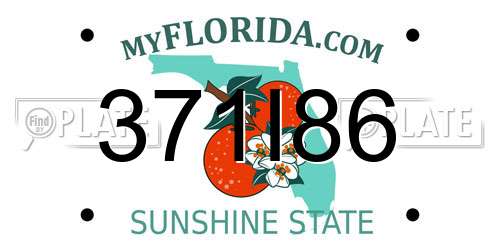 371I86 Florida License Plate