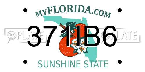 371IB6 Florida License Plate