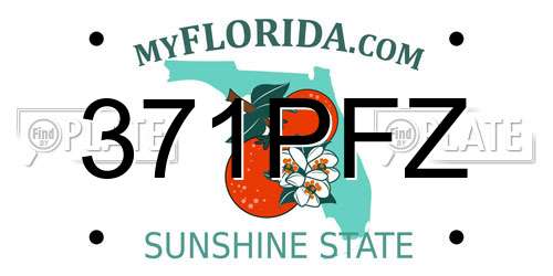 371PFZ Florida License Plate