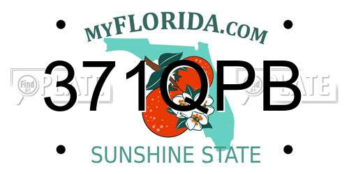 371QPB Florida License Plate