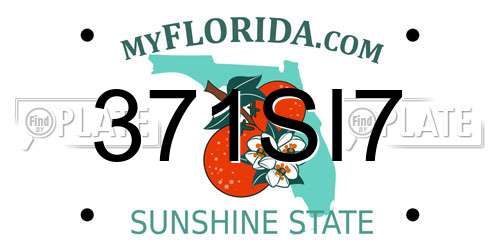 371SI7 Florida License Plate