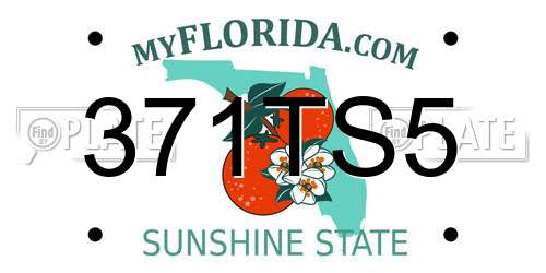 371TS5 Florida License Plate