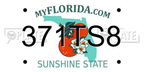 371TS8 Florida License Plate