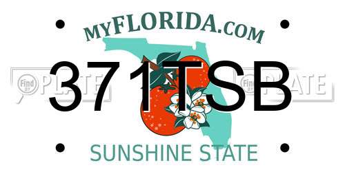 371TSB Florida License Plate