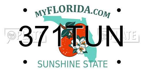 371TUN Florida License Plate