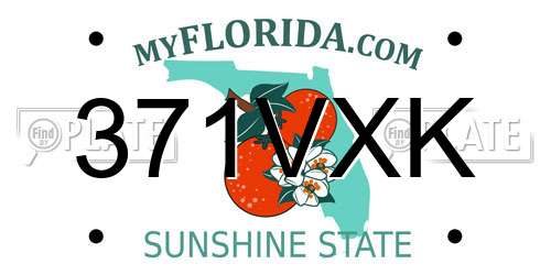 371VXK Florida License Plate