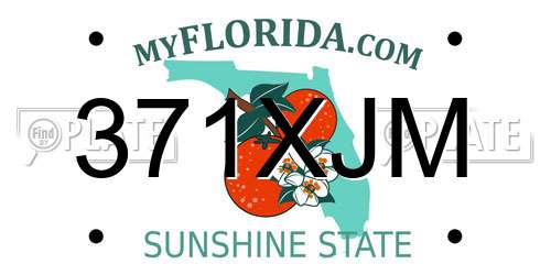 371XJM Florida License Plate