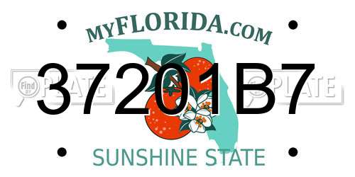 37201B7 Florida License Plate