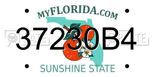 37230B4 Florida License Plate
