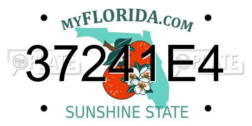 37241E4 Florida License Plate
