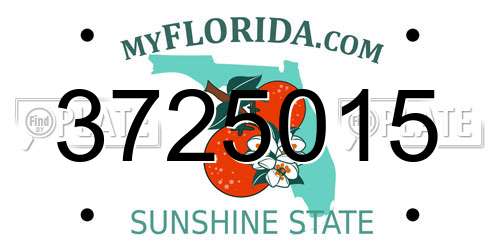 3725015 Florida License Plate