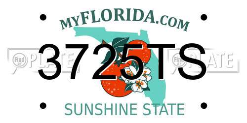 3725TS Florida License Plate