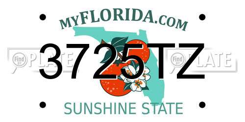 3725TZ Florida License Plate