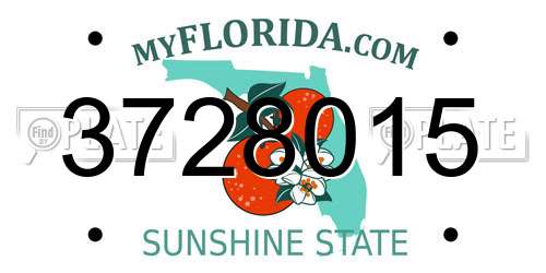 3728015 Florida License Plate