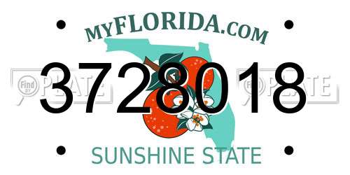 3728018 Florida License Plate