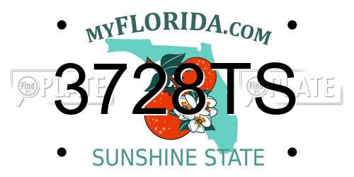 3728TS Florida License Plate