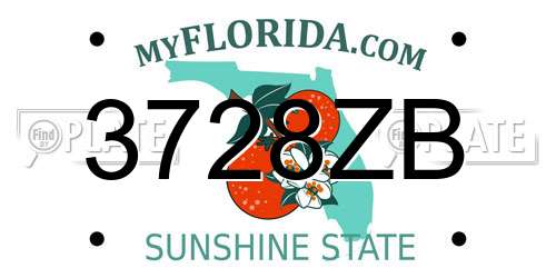 3728ZB Florida License Plate
