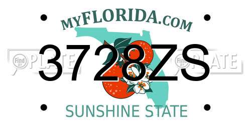 3728ZS Florida License Plate