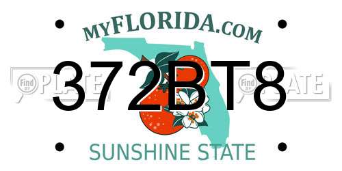 372BT8 Florida License Plate