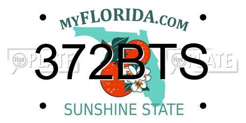 372BTS Florida License Plate