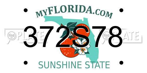 372S78 Florida License Plate
