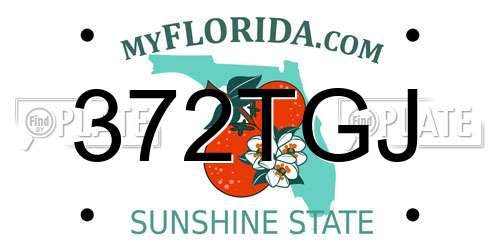 372TGJ Florida License Plate