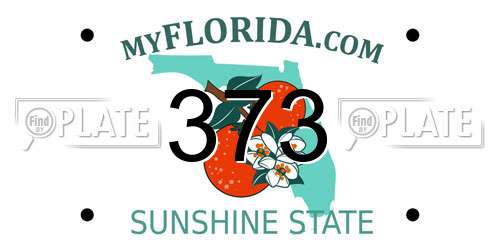 373 Florida License Plate
