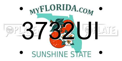 3732UI Florida License Plate