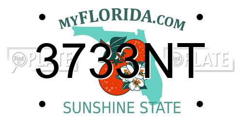 3733NT Florida License Plate