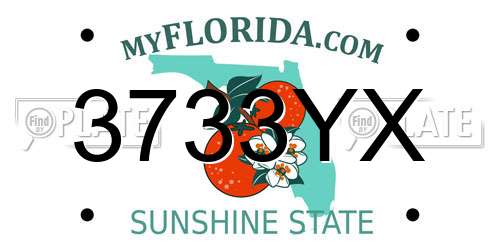 3733YX Florida License Plate