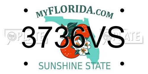 3736VS Florida License Plate
