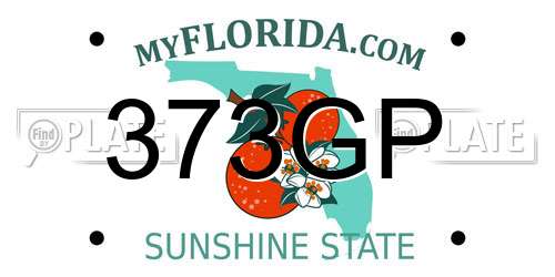 373GP Florida License Plate